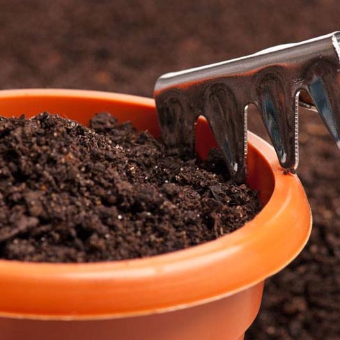 Macetas / Fertilizantes